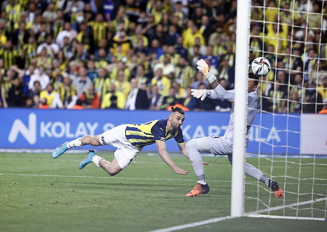 开yun体育官方网站入口登录